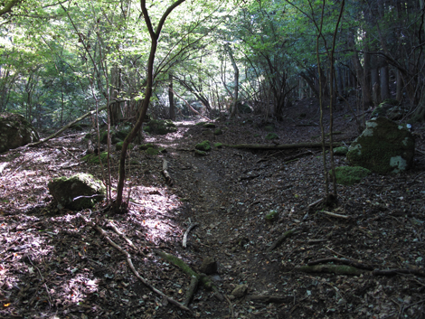 20151014hike (81)